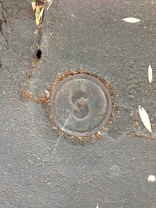 Not exactly sure what they're up to.