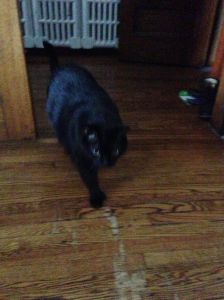 I can see your thoughts