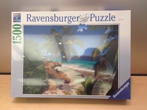 She's big on saving the environment so I'm not going to get it wrapped. That would just upset her.