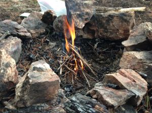 What is this? A fire for ants!?!