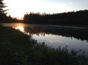 It's like drinking your morning Red Bull but without the heart palpitations.