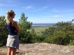 Or I could start up an even better blog: DieHardFive.wordpress.com!