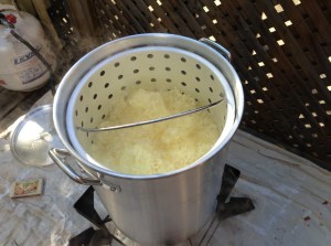 Steve, don't look at it. Shut your eyes, Steve. Don't look at it, no matter what happens!