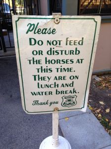 Does it surprise anyone that the horses get lunch *and* water breaks? 