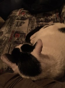 It's nice to be loved.